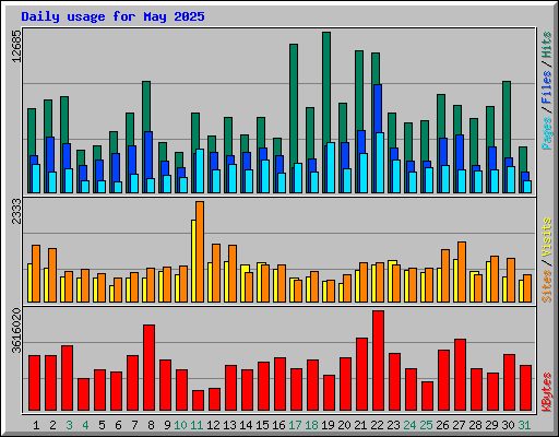 Daily usage for May 2025