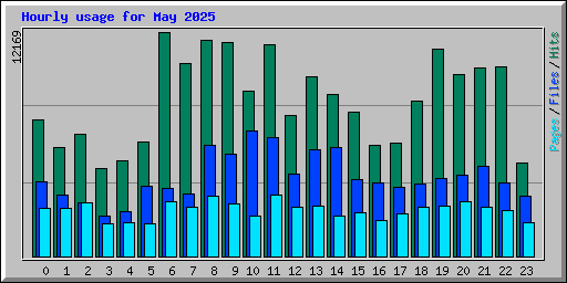 Hourly usage for May 2025