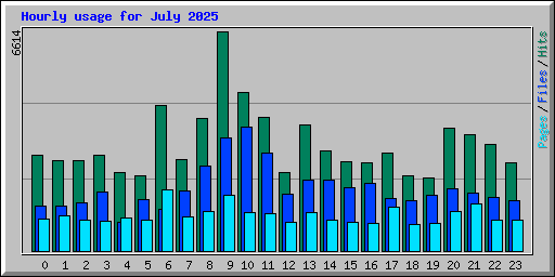 Hourly usage for July 2025