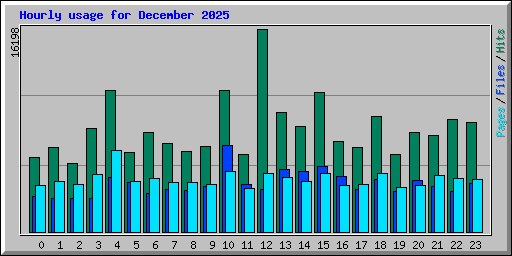 Hourly usage for December 2025