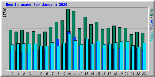 Hourly usage for January 2026