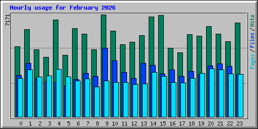 Hourly usage for February 2026