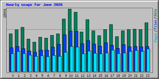 Hourly usage for June 2026